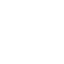 Decoration Icon